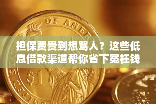 济南担保费贵到想骂人？这些低息借款渠道帮你省下冤枉钱