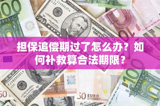 济南担保追偿期过了怎么办？如何补救算合法期限？