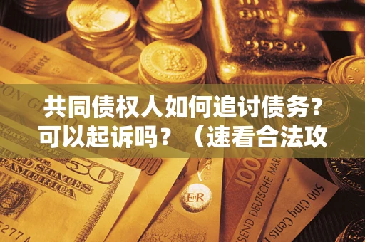 济南共同债权人如何追讨债务？可以起诉吗？（速看合法攻略）