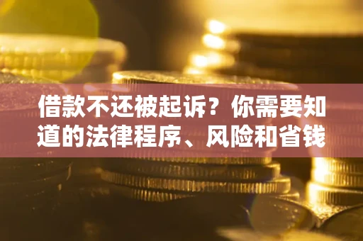 济南借款不还被起诉？你需要知道的法律程序、风险和省钱技巧